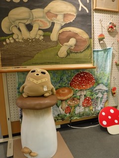 Myコレ2018きのこ.JPG