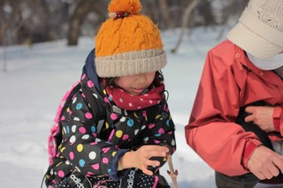 IMG_2335.JPG